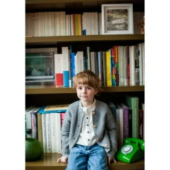 LOUIS LOUISE CHEMISE GRAND PERE TWILL RAYURE Best